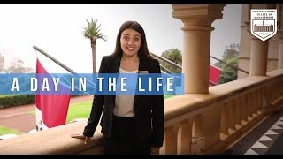A Day in the Life of Daisee