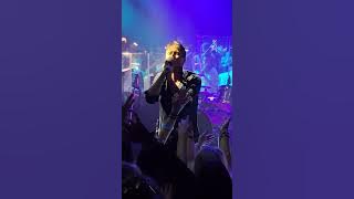 Suede -