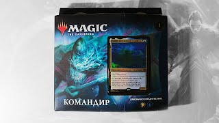 MTG Калдхайм Командир: Призрачное Предчувствие - Распаковка