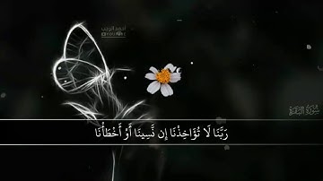 اواخر سورة البقرة 🔊 || حالات واتس اب 🎬 || مقاطع دينية قصيرة 🌺