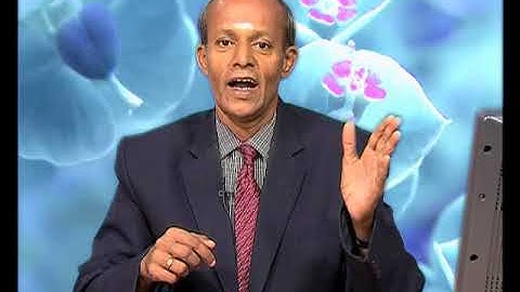 Environmental Monitoring And Management-Air Quality Monitoring-2 (CH-04)