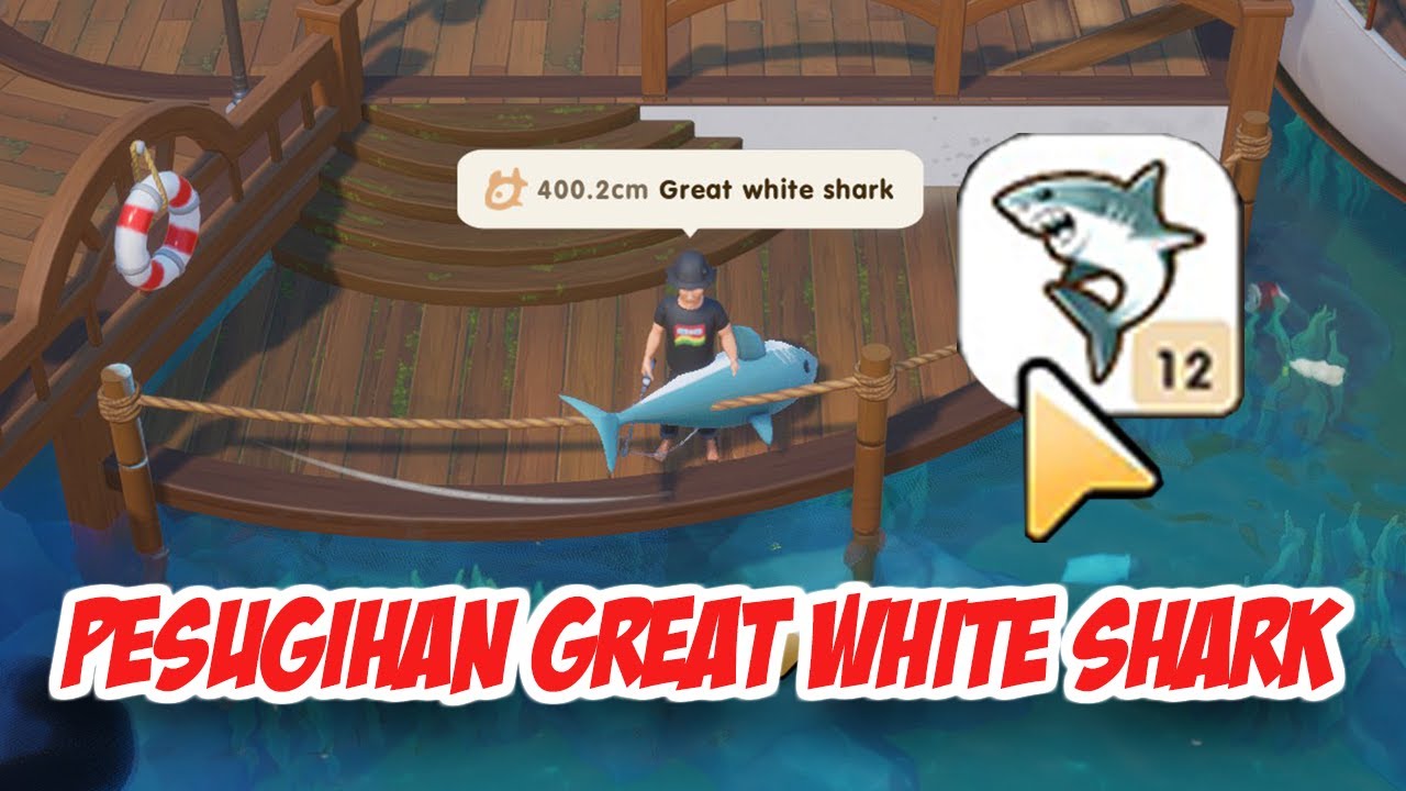 PESUGIHAN GREAT WHITE SHARK - CORAL ISLAND INDONESIA #4 - YouTube