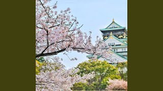 Download Lagu Cherry Blossoms MP3 Download Lagu Cherry Blossoms MP3