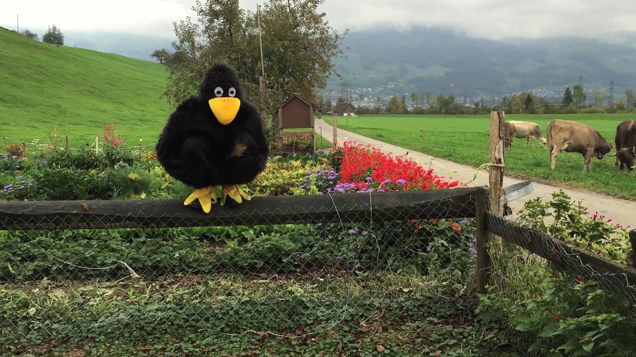 Jubiläum! 25 Jahre Timpel-Gäischter Brunnen