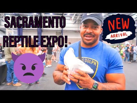 SACRAMENTO REPTILE EXPO!!! ***NEW ADDITION *** 😈 - YouTube