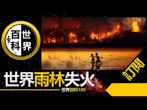 世界最大的雨林【亚马逊】它对地球有多重要？如今严重火灾，恐对全球造成......亞馬遜森林大火 | 巴西大火 | 野火 | 地球之肺 | 亞馬遜大火