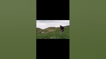 تلاوة خاشعة للشيخ محمد صديق المنشاوي رحمه الله تعالى #القرآن_الكريم #المصحف #اكسبلور