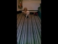 Beginning of video