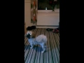 End of video