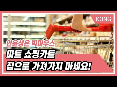 마트 쇼핑카트 집으로 가져가지 마세요!_안윤상은 빅마우스 [박은영의 FM대행진]