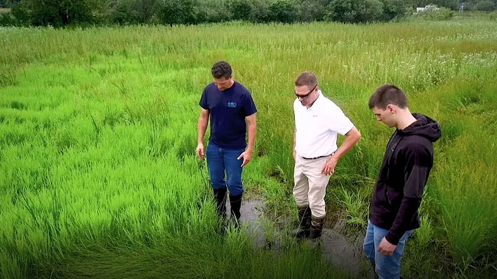 Wetlands Create Community Resiliency