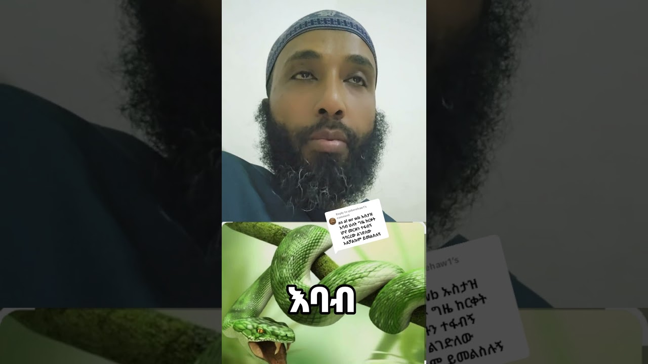 የህልም ፍቺ/ስለ እባብ/በኡስታዝ አለላህ መህዲ