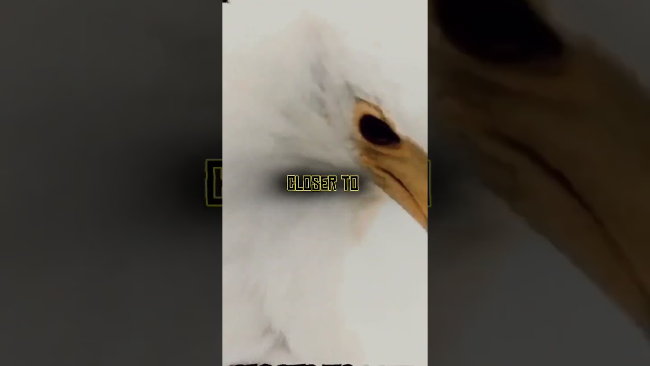 The Power of Small Efforts: Achieving Success Every Day