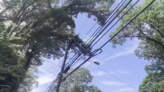 Power restored to almost all customers following storm Dominion Energy says