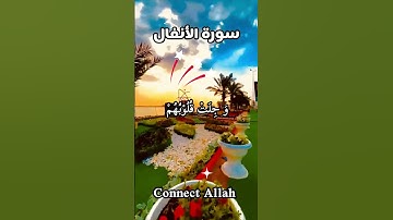 سورة الأنفال - المنشاوی