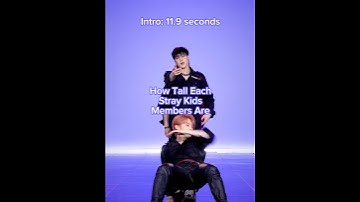 How Tall Each Stray Kids Members Are #straykids #kpopshorts #kpop #shorts