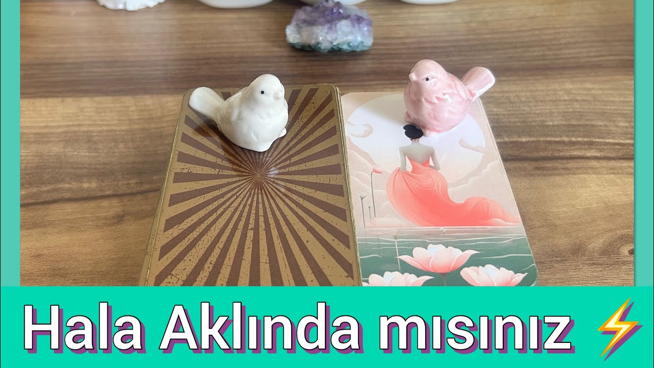 Hala Aklında mısınız 🌟Geri Dönmeyi Düşünüyor mu 💘Hem #desteseç Hem #kollektifeaçılım ❣️ #tarot