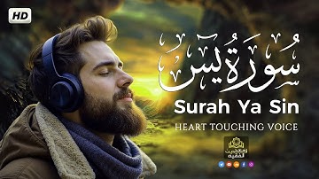 سورة يس ❤️ || تلاوة هادئة بنبرة جميلة و خاشعة 😴 القارئ سعد الدين الفقيه | Surah YaSin