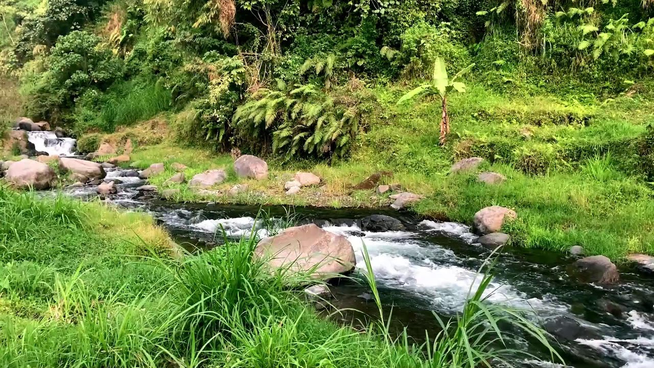 Flowing Water White Noise for Sound Sleep, Stress Relief
