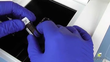 FireflySci UV Calibration How to Determine Stray Light