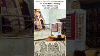 Miracle of Jagannath Matki Breaks Only When Divinity Arrives 🙏🏻 #viral  #love #jagannath #shortfeed
