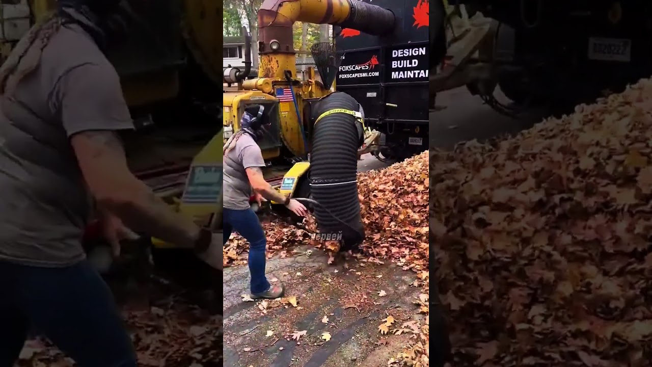 Это самый эффективный способ убирать листья  