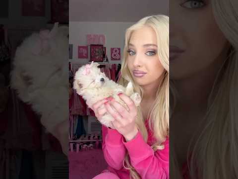 أخيرا وجدت الرجل المثالي لي