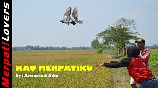 Download Lagu Backsound Merpati Lovers: Kau Merpatiku