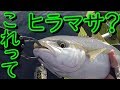 ドラグ爆音! 快感カヤックフィッシング【釣行04】