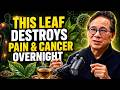 Put This Leaf in Hot Water and Drink It — Your Joints, Skin and Blood Sugar Will Thank You