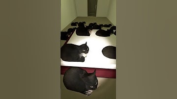 Maxwell the cat liminal hotel! #gmod #nextbots