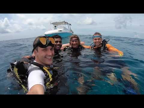 14 DAYS /// SCUBA DIVING THULUSDHOO, KAAFU ATOLL, MALDIVES