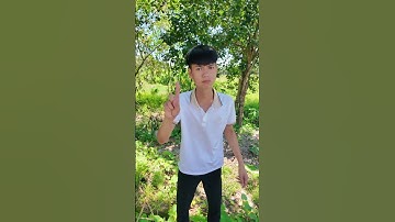 Đừng vứt rác bừa bãi - Don