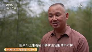 《共富经》 20250226 一根竹子的旅程 | 农业致富经 Agriculture And Farming