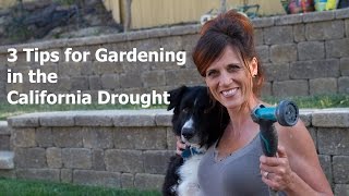 Three Tips for Gardening in the California Drought