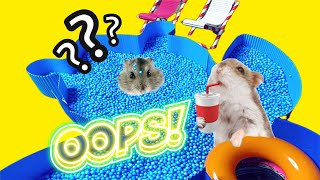 🌈 DIY Hamster Maze with Traps | Best Compilation Part 3