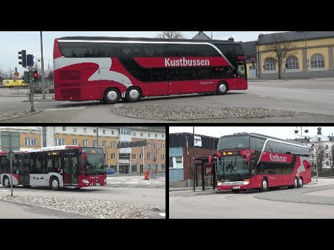 Video: Georgiens Gubernatorialkandidat Löfte Att Fylla Buss Med Olagliga