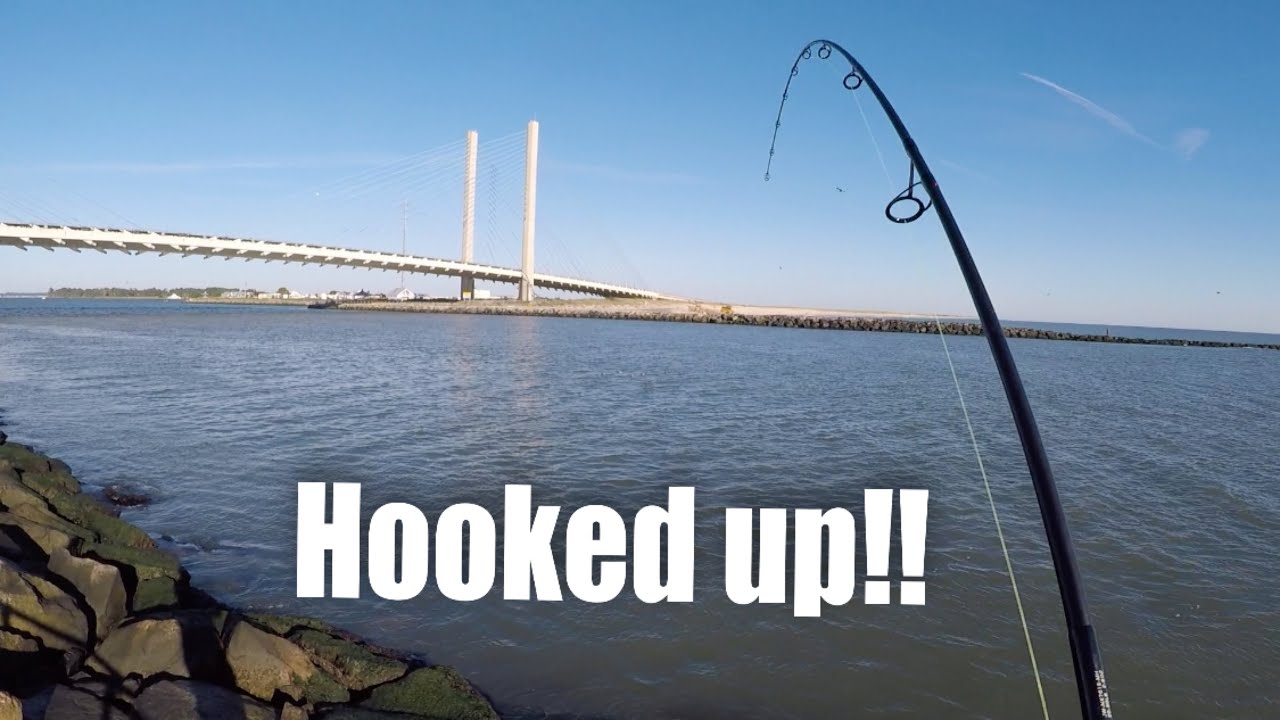 Fishing The Rocks For Tog! Indian River Inlet!