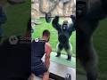 When You Flex…but the Gorilla Flexes HARDER#GorillaStrength#GymBro#AnimalFlex#ZooMoments#ViralShorts
