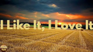 Tim McGraw - I Like It, I Love It (Lyrics)