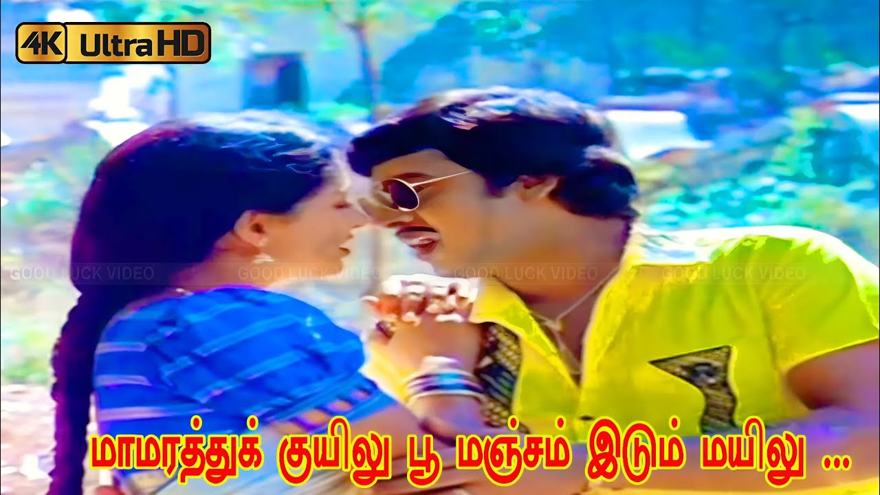 மாமரத்துக் குயிலு பூ மஞ்சம் இடும் மயிலு பாடல் | Mamarathu Kuyilu song | Ilaiyaraaja, K. S. Chithra .