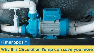 How does the SpaNet™ circulation pump save you money