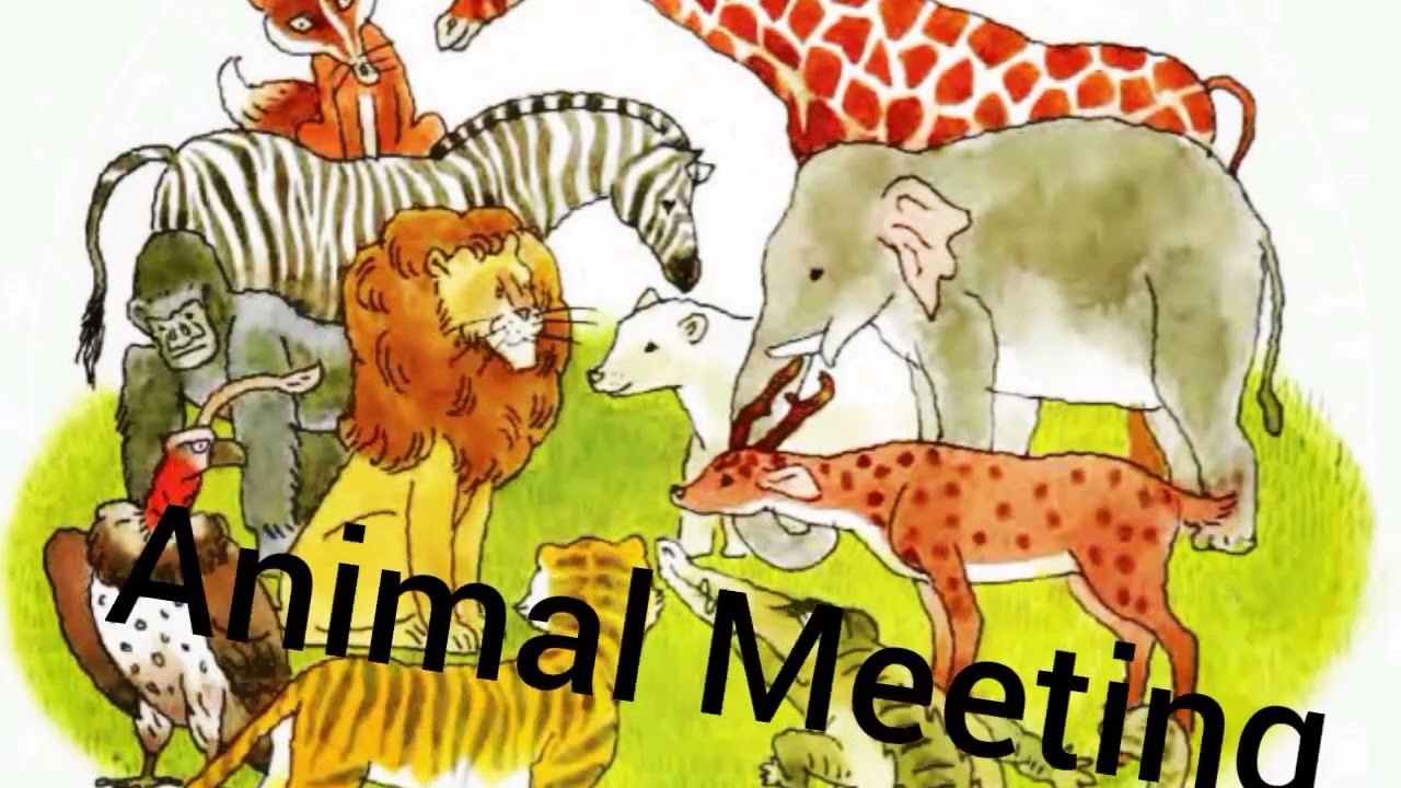 Class 3 West Bengal board english text book Lesson-2 Animal Meeting  audiobook #animalmeeting #westb - YouTube