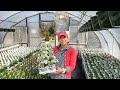 Flowering Annuals Nursery Tour // Gardening with Creekside