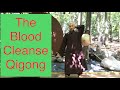 20 Minute Daily Routine Blood Cleanse Qigong