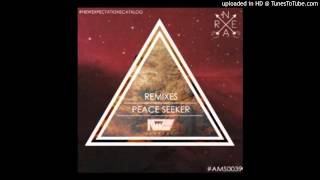 Near - Peace Seeker (Dj Goldo - Remix) (AMS Records)