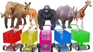 Learn 123 Numbers With Wild Animals Shopping Cart for Kids - Learn Animals Names & Sounds