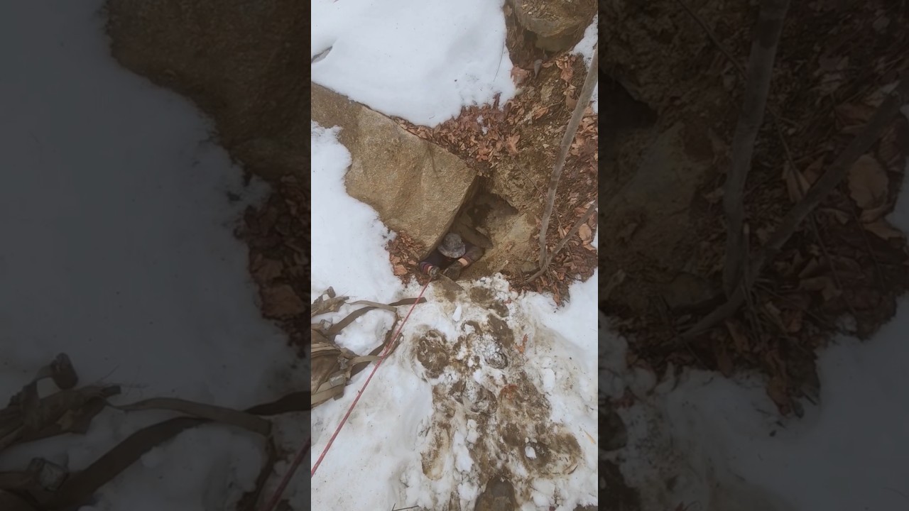 Выбираюсь из-под земли... 