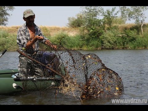 ловля линя на вентиль