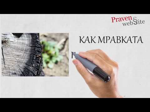 Видео: Как възнаграждавате член на екипа за страхотна работа?